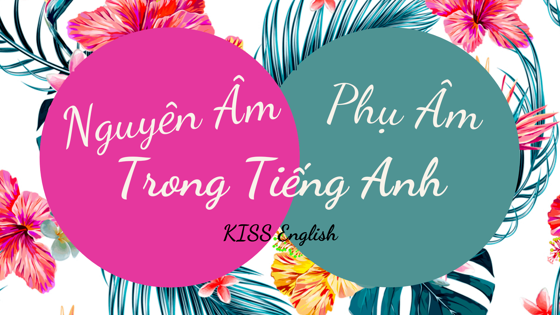 NGUYÊN ÂM & PHỤ ÂM TRONG TIẾNG ANH