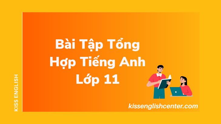 bai tap tong hop tieng anh lop 11
