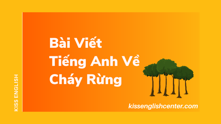 bai viet tieng anh ve chay rung