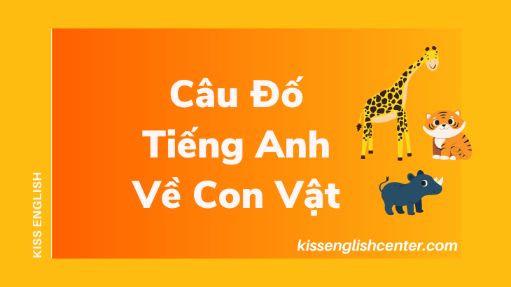cau do tieng anh ve con vat