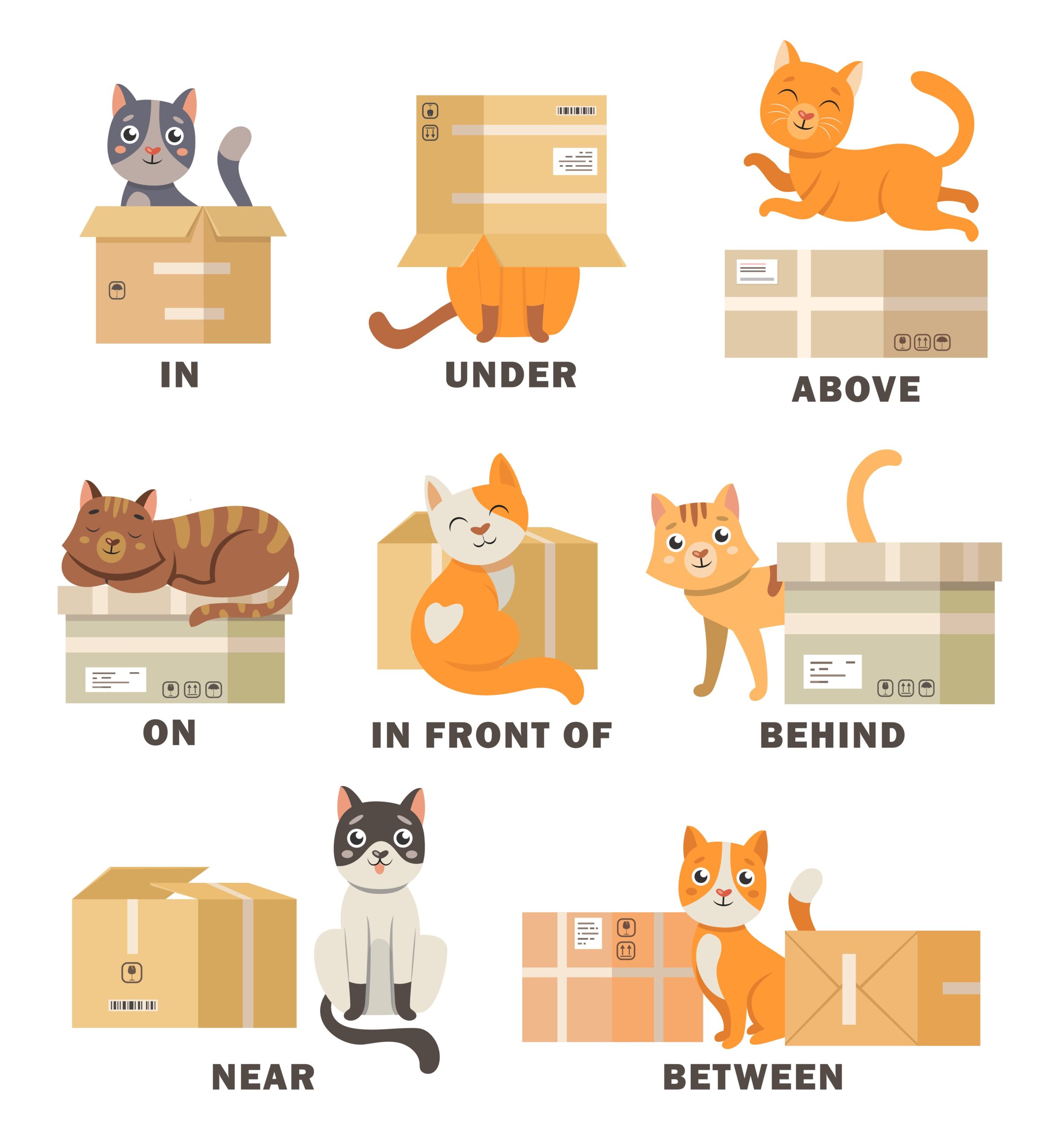 Các Giới Từ Trong Tiếng Anh