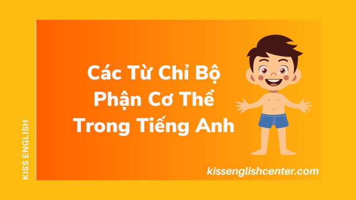 Các Từ Chỉ Bộ Phận Cơ Thể Trong Tiếng Anh