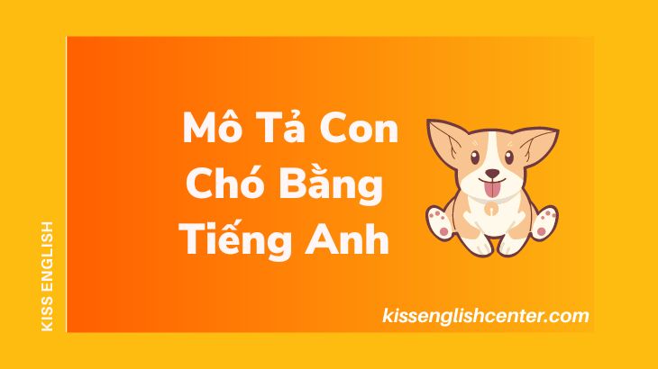 Mô Tả Con Chó Bằng Tiếng Anh