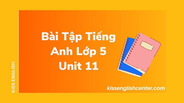 Bài Tập Tiếng Anh Lớp 5 Unit 11