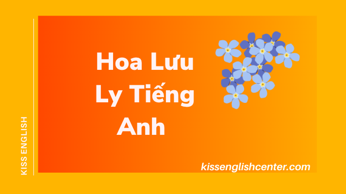 Hoa Lưu Ly Tiếng Anh
