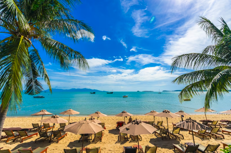 Bố Cục Bài Viết Về Phú Quốc Bằng Tiếng Anh 